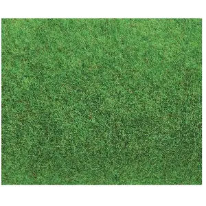 Faller Modélisme : Végétation : Plaque De Terrain : Vert Clair-Faller pas cher