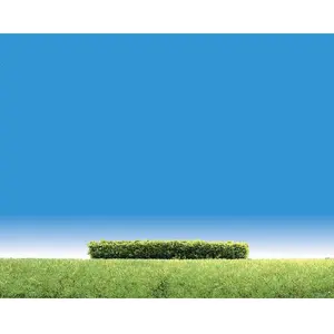 Modélisme : Végétation : 3 haies vert clair Faller-181398 pas cher