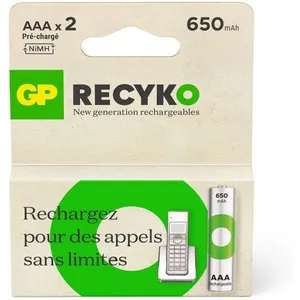 Pile rechargeable GP AAA ReCyckO 650 mAh lot de 2 TU pas cher