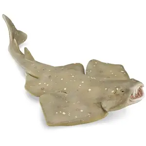 Collecta - Requin Ange - Figurine à Collectionner - Taille M - (Deqube 90188999) pas cher