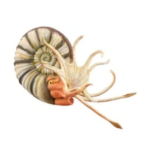 Collecta animal de jeu Pleuroceras 11,9 cm plastique ABS blanc
