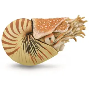 Collecta animal de jeu préhistoire Nautilus 10 cm ABS beige