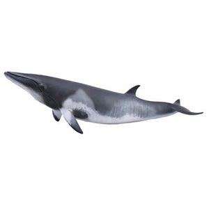 Collecta 88862 Baleine Minke pas cher