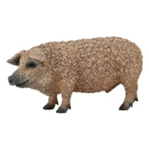 Figurine de cochon hongrois CollectA (Moyen)