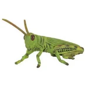 Figurines Collecta - Insecte - Sauterelle pas cher
