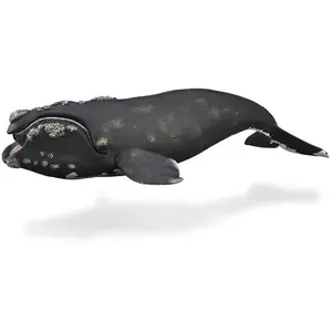 Figurine - Collecta - Animal Marin - XL - Baleine franche