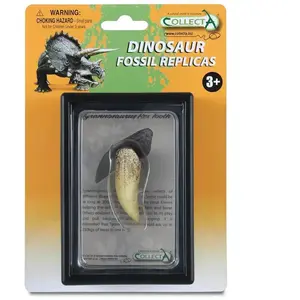 Collecta Coffret préhistorique : Dent de Tyrannosaurus Rex (Réplique de fossile) pas cher