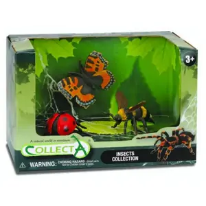 Collecta insectes : set de jeu dans coffret cadeau 3 pièces