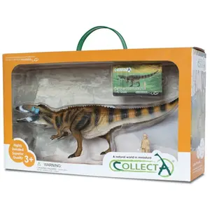 Collecta prehistorie: Set de jeu carcharodontosaure 1:40 35 cm marron
