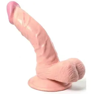 Comparateur de prix : Gode Réaliste A Ventouse Nmc Product