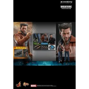 Figurine Hot Toys MMS659D - Marvel Comics -X-Men : Days Of The Future ...