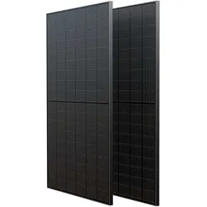 Ecoflow starres Solarpanel Monokristallin 2 x 400 W pas cher