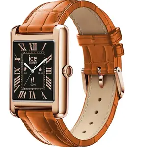 Comparateur de prix : ICE smart TK 2.0 rectangulaire 1.41 Rose-Gold Cognac M