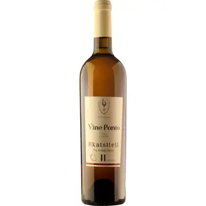 Vine Ponto Rkatsiteli Qvevri 2018 0.75 l pas cher