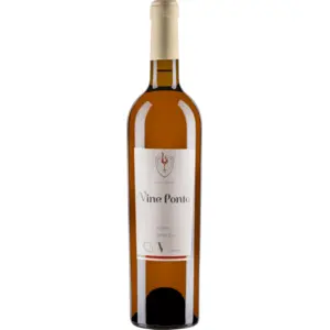 Vine Ponto Khikhvi Qvevri 2017 0.75 l pas cher