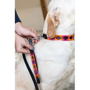 Laisse pour chien HFI Polo Multicolore 2,5x120 cm HFIDL002BKOPM pas cher