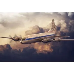Bristol 175 Britannia African Safari - 1:144e - Roden pas cher