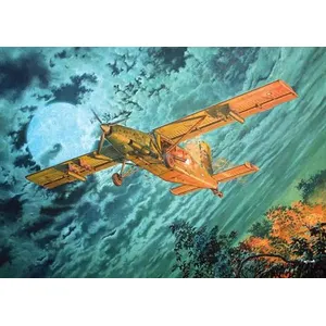 Fairchild Au-23a Peacemaker - 1:48e - Roden pas cher