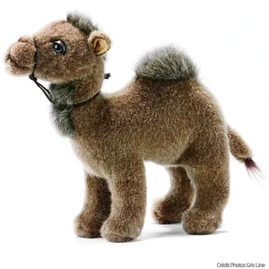 Hansa Anima Peluche Dromadaire Bébé 21 Cm Anima pas cher
