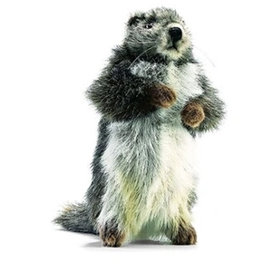 anima peluches - peluche anima marmotte 25 cm pas cher