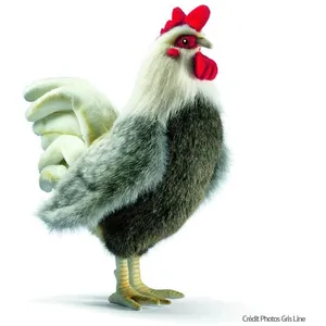 HANSA Anima Peluche Coq 30 Cm Anima