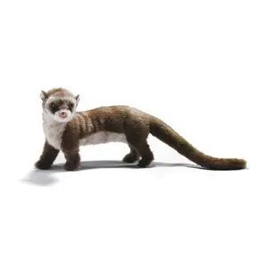 Comparateur de prix : Hansa Anima - Peluche Furet 35 cm