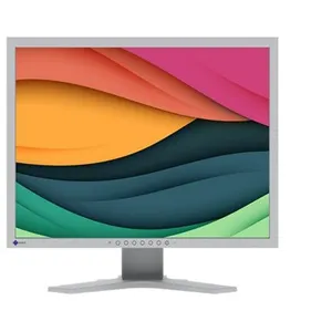 Eizo 21.3" Moniteur