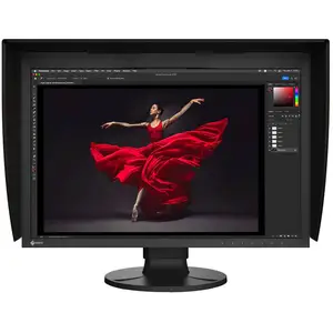 Eizo ColorEdge CG2400S pas cher