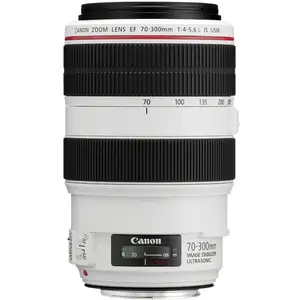 Canon EF 70-300mm f/4-5.6L IS USM SLR Téléobjectif Noir, Blanc pas cher