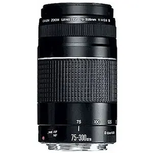 Comparateur de prix : Canon objectif ef 75-300mm f/4.0-5.6 iii garanti 2 ans 6473A015