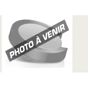 KENKO Filtre KUVMC 52mm pas cher