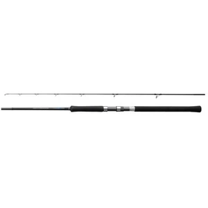 Canne spinning Shimano Salty Advance Spinning TU pas cher