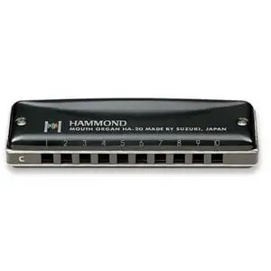 Suzuki hammond HA-20 - LaVendu parbax-music