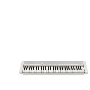 Comparateur de prix : Clavier compact Casio CT-S 1WE avec 61 touches et sonorités vintage Gris