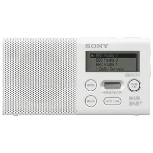 SONY XDRP1DBPW Radio numérique - DAB/DAB +/ FM VISUAL2DIN 6inch BT Non-CarPlay pas cher