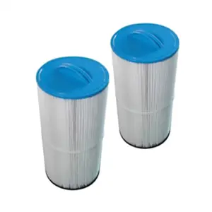 Comparateur de prix : Cartouches filtrantes pour piscine FILTRINOV MX18 et MX25 x2 - Gris