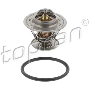 Topran Thermostat d'eau 100573 pas cher