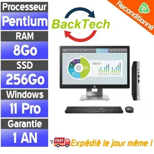 Dell Mini PC avec Écran 22" - 8Go de RAM - 256Go SSD - Pentium Gold - ... pas cher