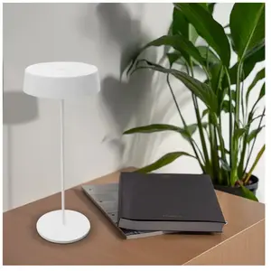 Zambelis E289 | E290 | E291 Lampe de table LED sur batterie, E290,