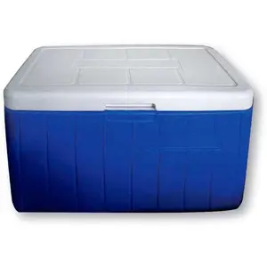 Lalizas Glacière Portable Rigide Seacool 48l