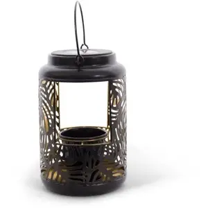 Lanterne Solaire - GARDEN ID Lampe pour Fleur - 12 x 19 cm Pot 6.5 x 6...Vendu parcarrefour