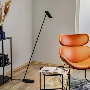 LUCIDE HESTER - Lampadaire/lampe de lecture - 1xGU10 - AnthraciteVendu paramazon