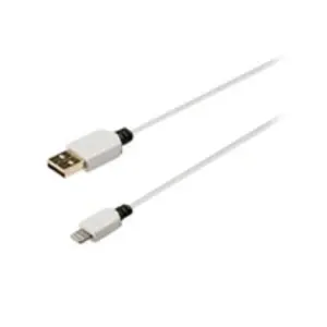 - Câble Lightning - Lightning mâle pour USB mâle - 2 m - blanc - rond
