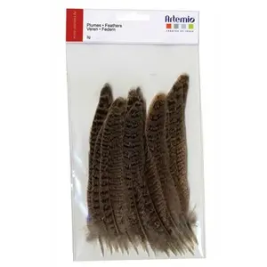 Artemio Plumes - Naturelle 1 - 3gVendu parscrapmalin