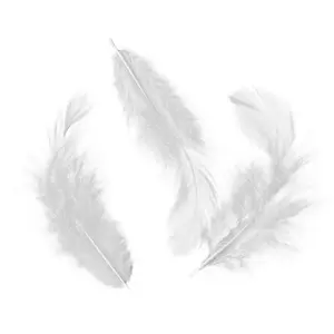 Comparateur de prix : Artemio Plumes - Blanc - 10 g