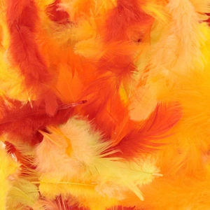 Comparateur de prix : Artemio Plumes Tons jaunes 10 g