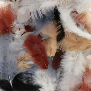 Comparateur de prix : Artemio Plumes Tons naturels 10 g