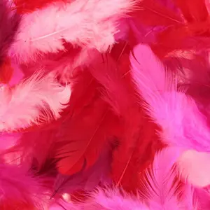 Artemio Plumes Tons rouges 10 g