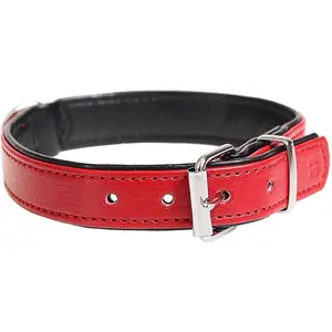 Collier pour chien Duvoplus Chic TU pas cher
