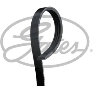 Courroie D'accessoires Gates 4pk917sf pas cher